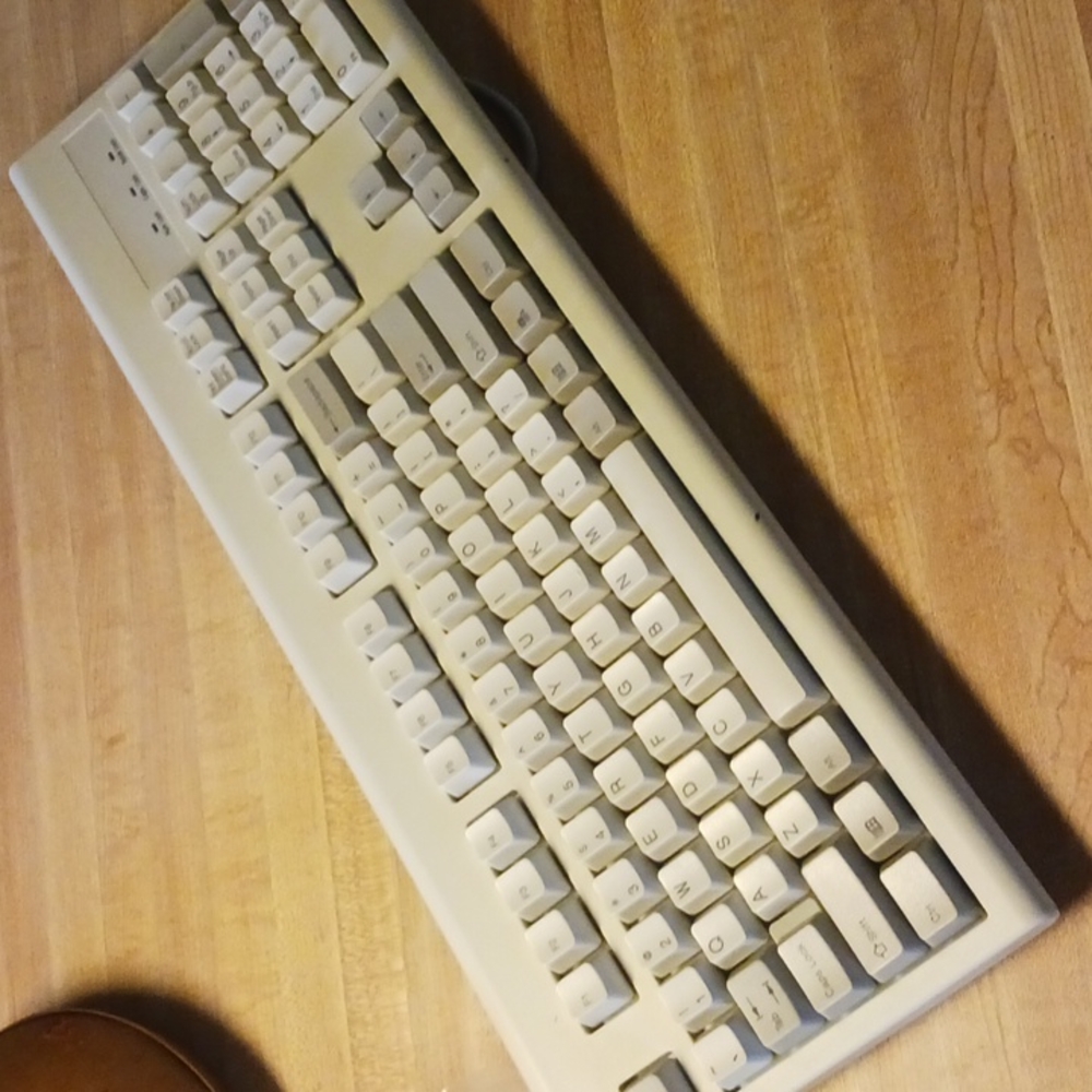 Wyse Technology 901861-26 Model KB-3923 PS/2 Corded Terminal Keyboard